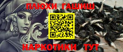 гашиш Новозыбков